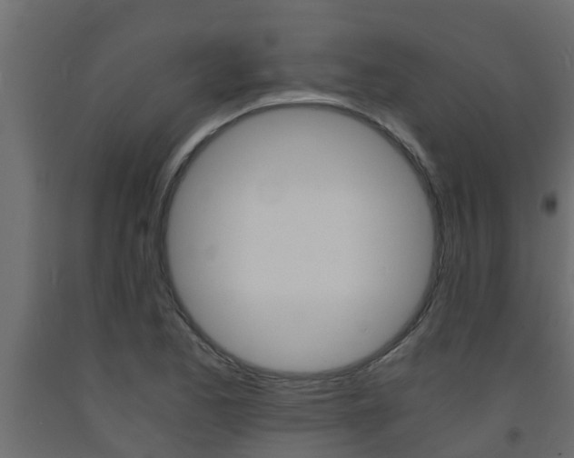 X0000093571173200710151010