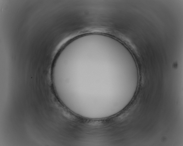 X0000093571174200710151010