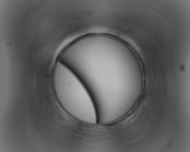 X0000093571175200710151010
