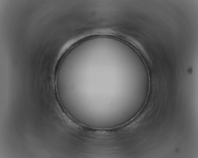 X0000093571176200710151010