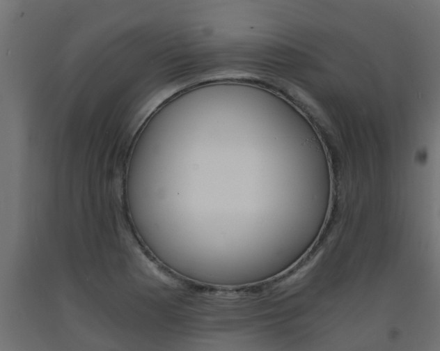 X0000093571177200710151010