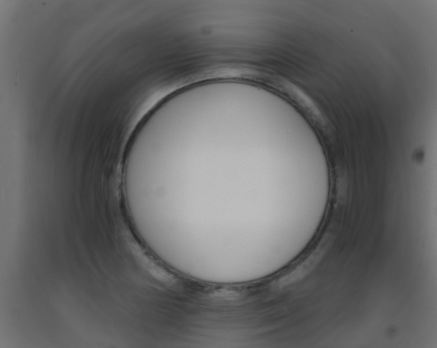 X0000093571178200710151010