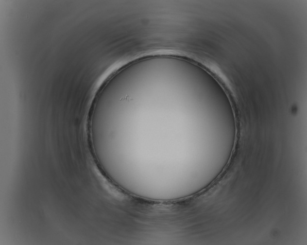X0000093571181200710151010