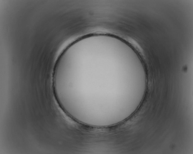 X0000093571183200710151010
