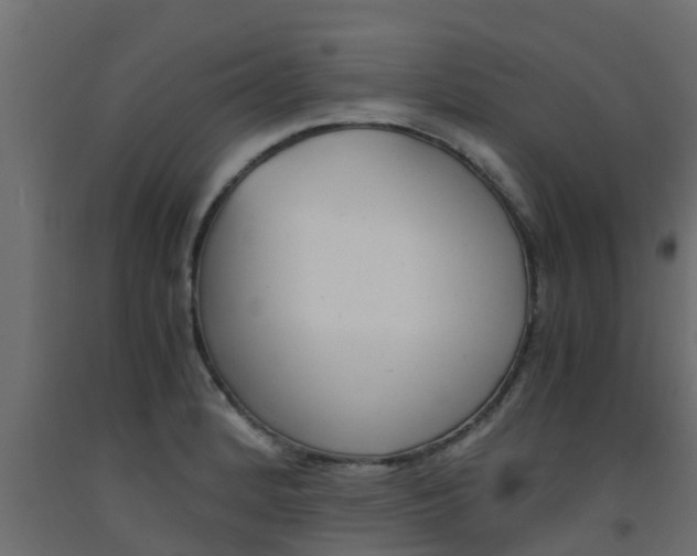 X0000093571184200710151010