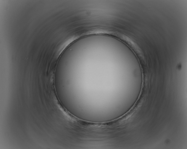 X0000093571185200710151010