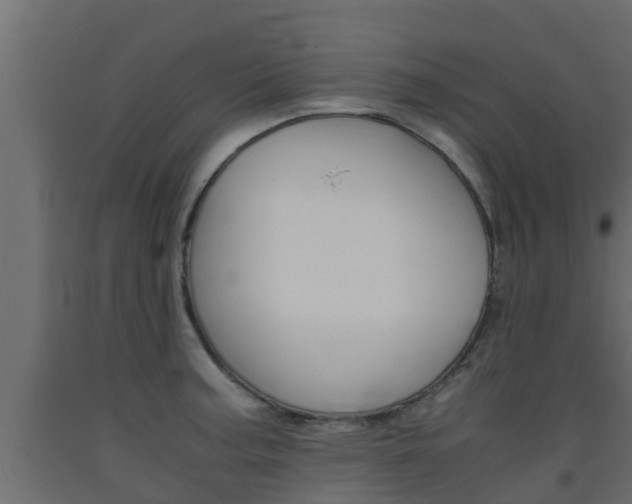 X0000093571187200710151010