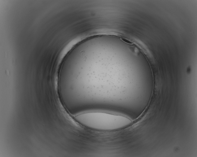 X0000093571188200710151010