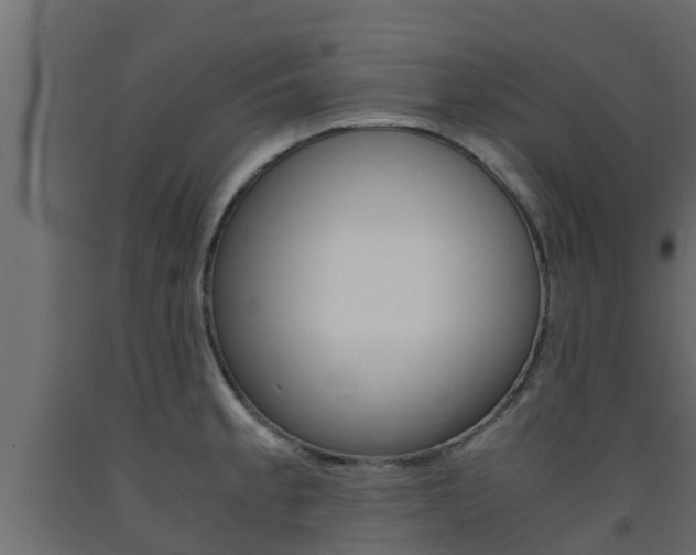 X0000093571189200710151010