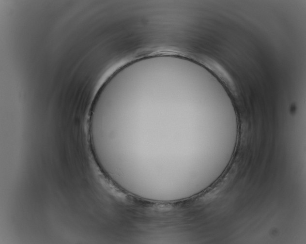 X0000093571190200710151010