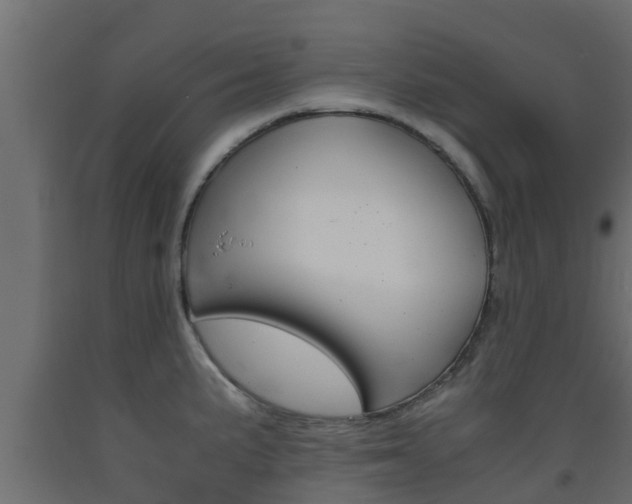 X0000093571191200710151010