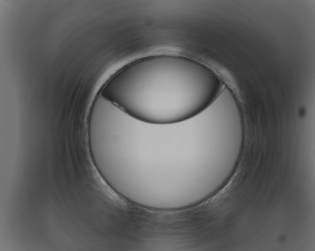 X0000093571192200710151010