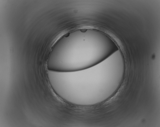 X0000093571193200710151010