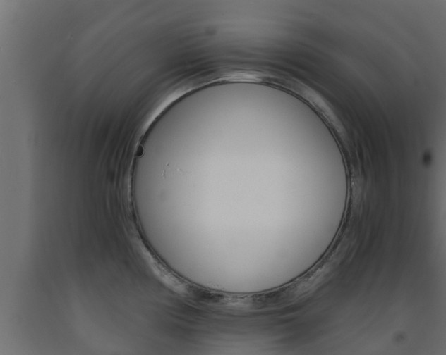 X0000093571194200710151010