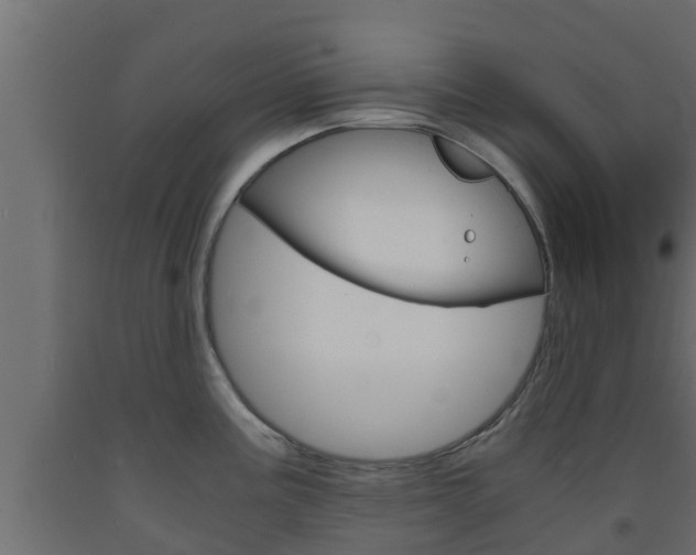 X0000093571195200710151010