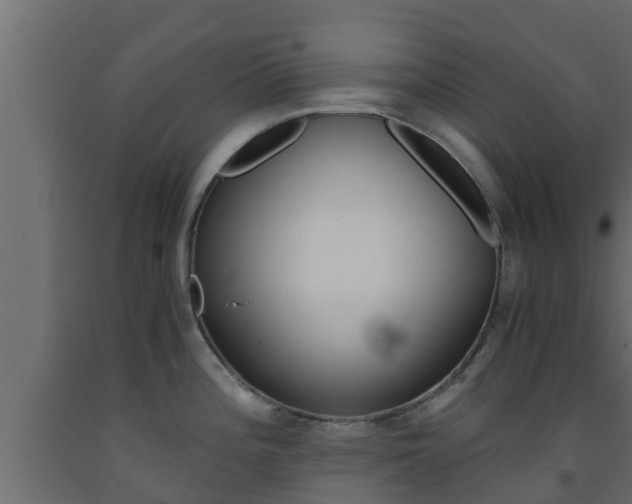 X0000093571196200710151010