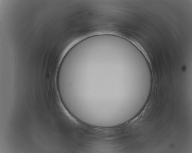 X0000093571197200710151010