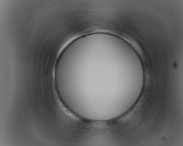 X0000093571198200710151010