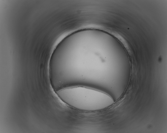 X0000093571199200710151010