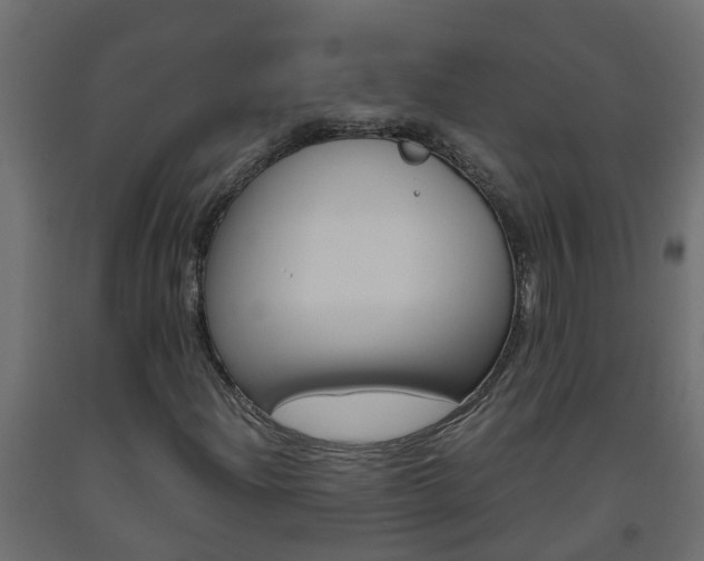 X0000093571204200710151009