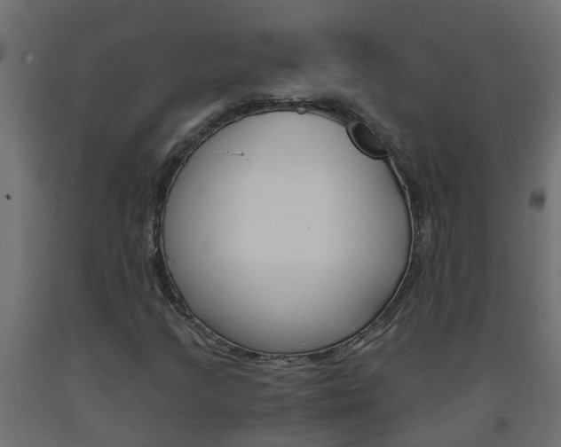 X0000093571205200710151009