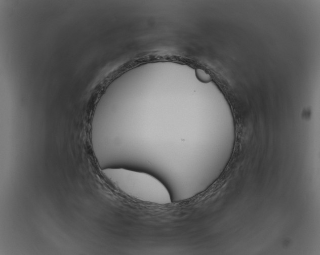 X0000093571207200710151009