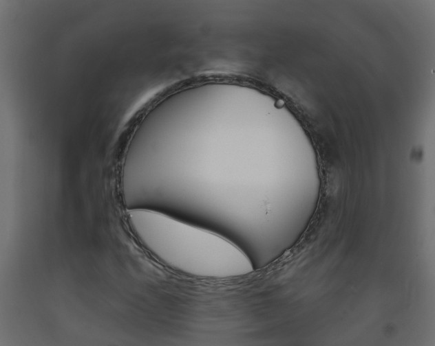 X0000093571208200710151009