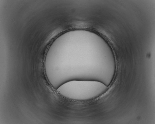 X0000093571211200710151009