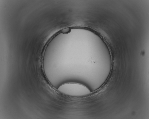 X0000093571212200710151009