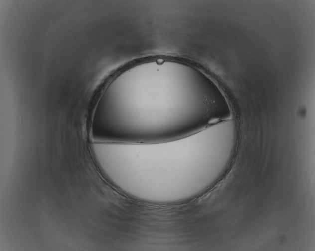 X0000093571214200710151010