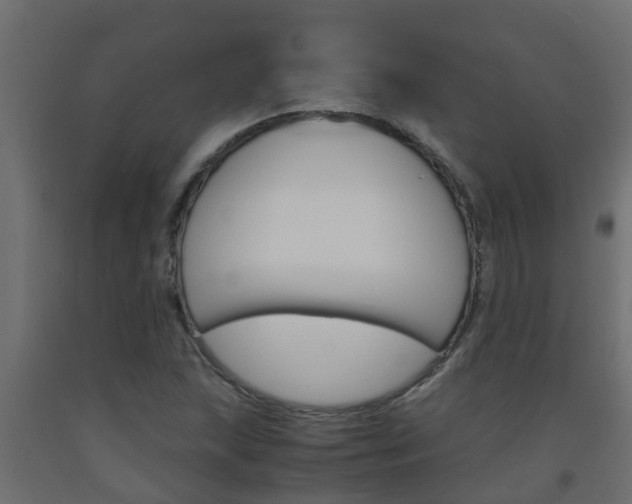 X0000093571215200710151010