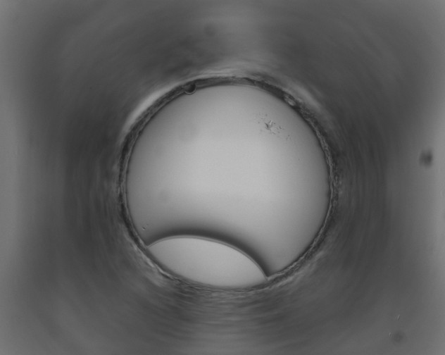 X0000093571216200710151010