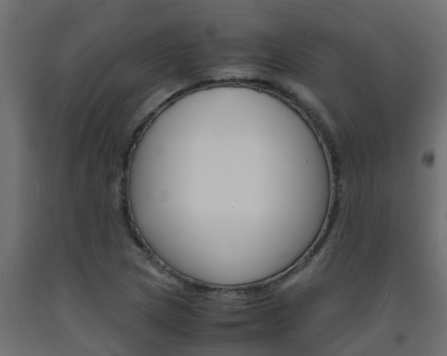 X0000093571217200710151010