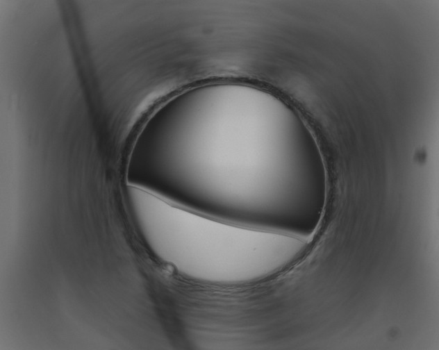 X0000093571218200710151010