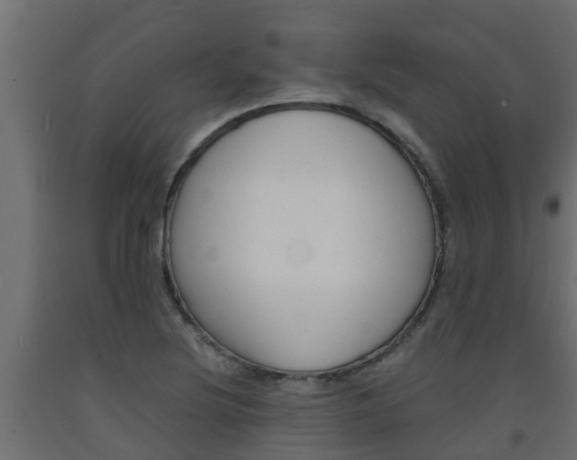 X0000093571220200710151010