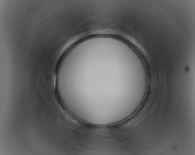 X0000093571221200710151010