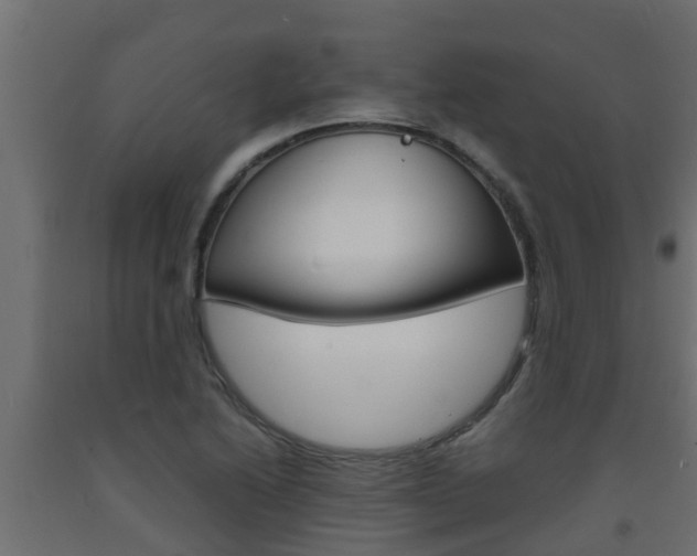 X0000093571222200710151010