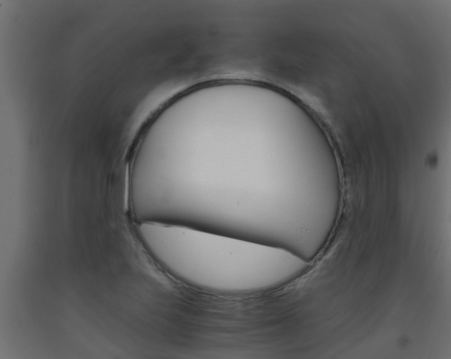 X0000093571223200710151010