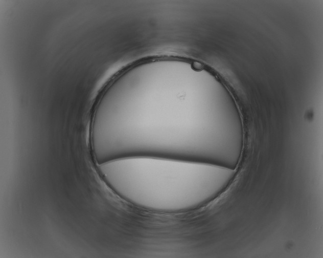 X0000093571224200710151010