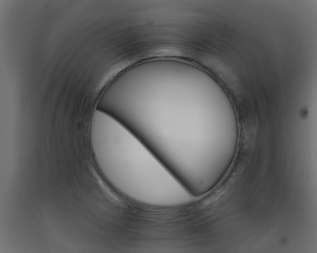 X0000093571225200710151010