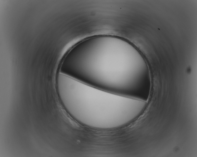 X0000093571230200710151010