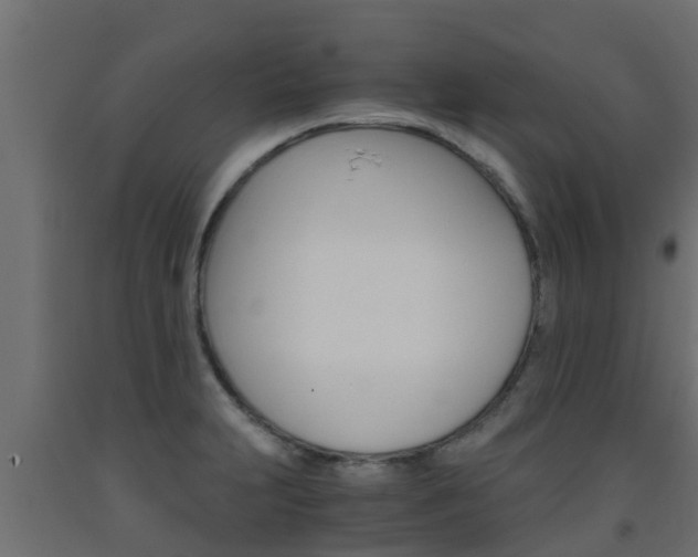 X0000093571231200710151010