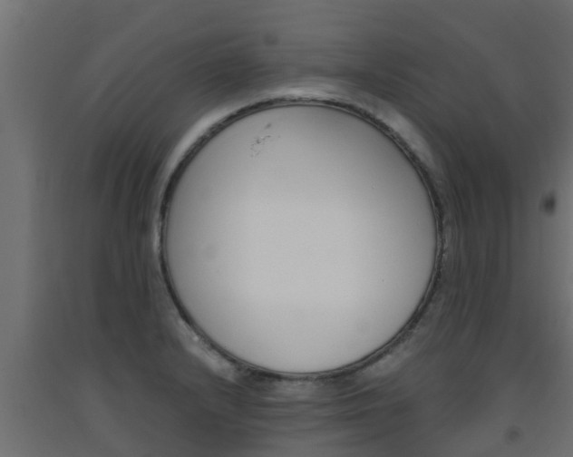 X0000093571232200710151010