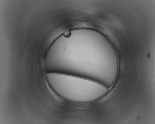 X0000093571233200710151010