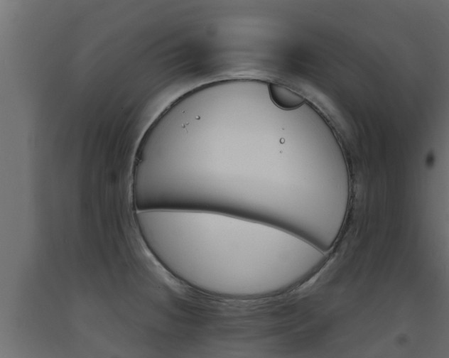 X0000093571236200710151010