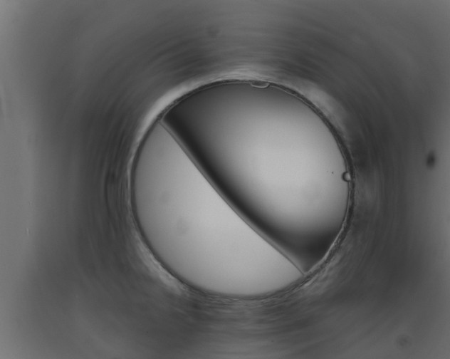 X0000093571238200710151010