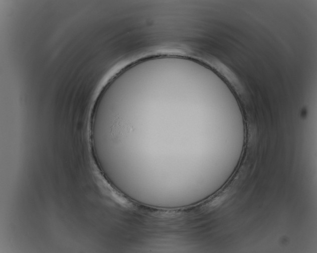 X0000093571240200710151010