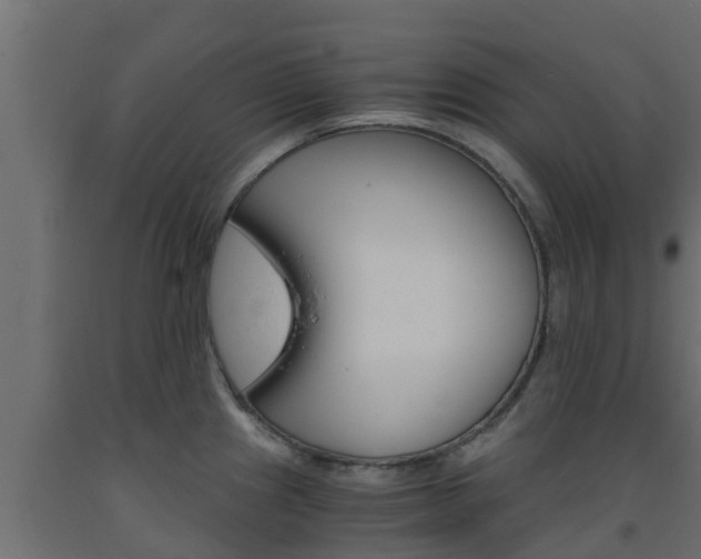 X0000093571241200710151010