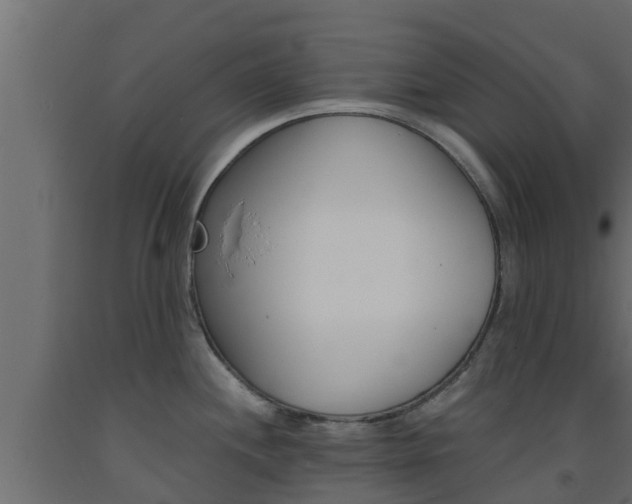 X0000093571244200710151010