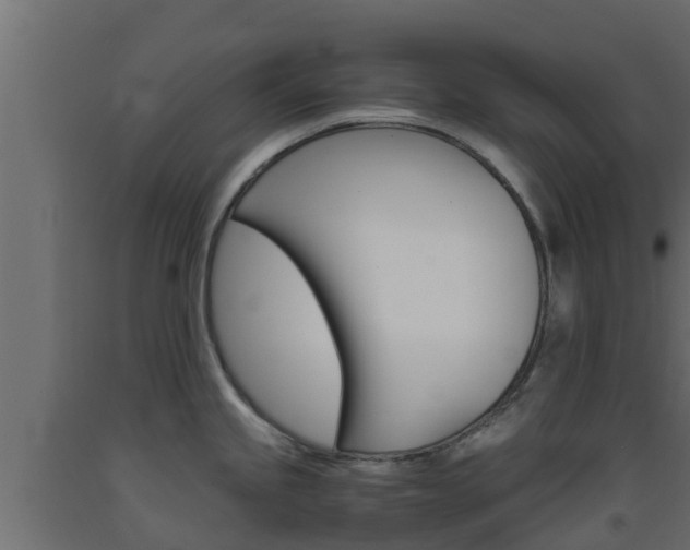 X0000093571245200710151010